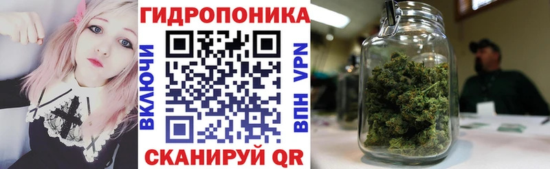 как найти   Богородицк  Конопля OG Kush 